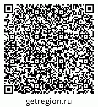 79066560004