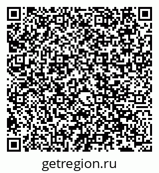 79066560081