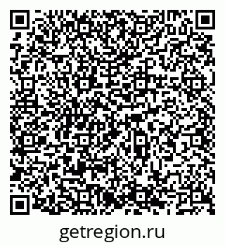 79066560339