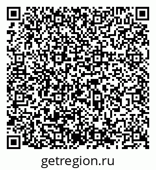 79066560558