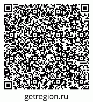 79066561636