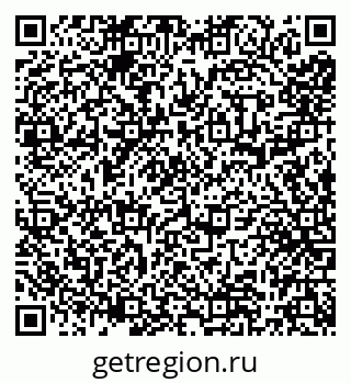 79066561981