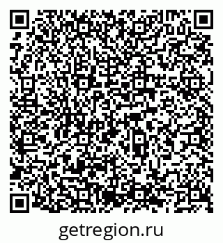 79066562024