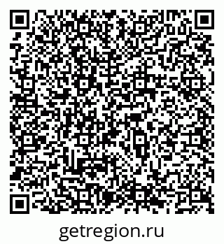 79066565384