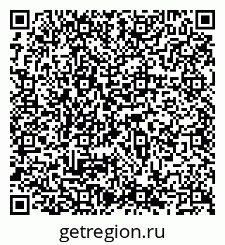 79066565558