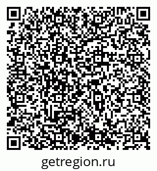 79066566291