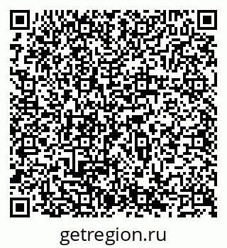 79066569381