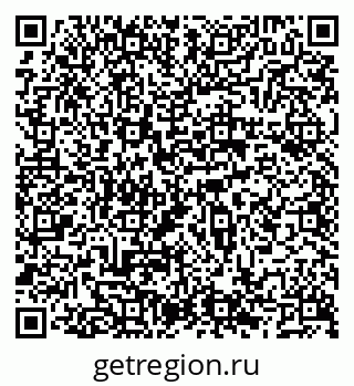 79066569636