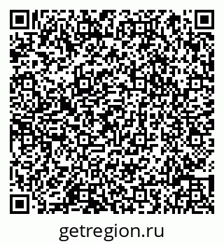 79066817281
