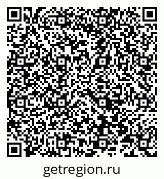 79066819381
