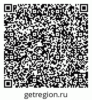 79066819606