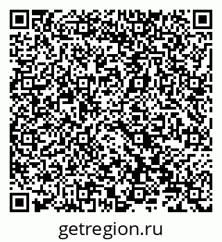 79066820411