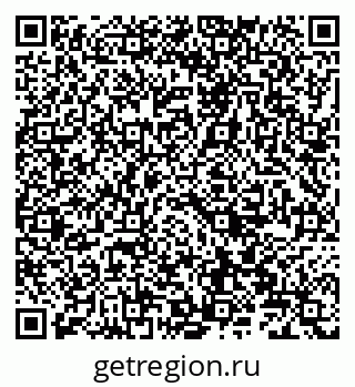 79066824393