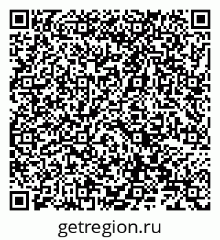 79066826772
