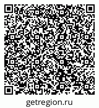 79066828081