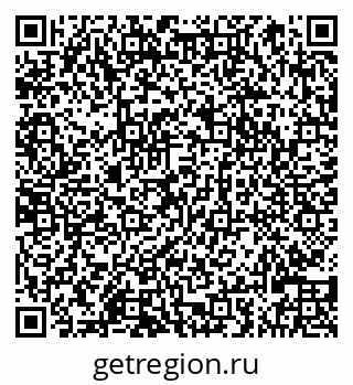 79066828981