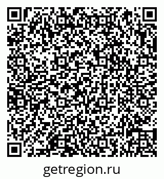 79066835381