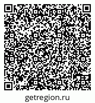 79066838204