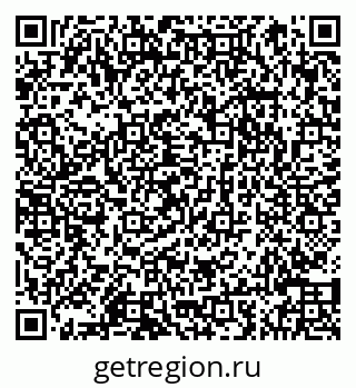 79066840203