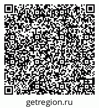 79066840803