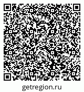 79066841355