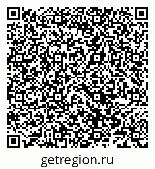 79066842381