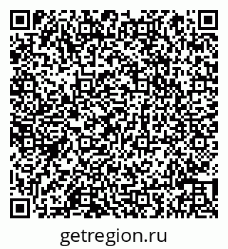 79066843804