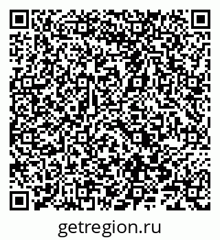 79066843981