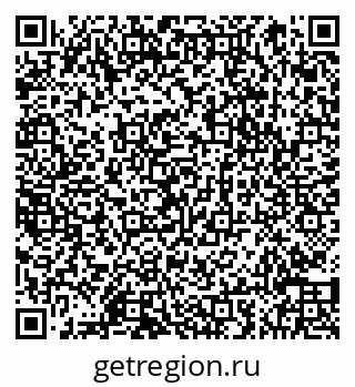 79066850081