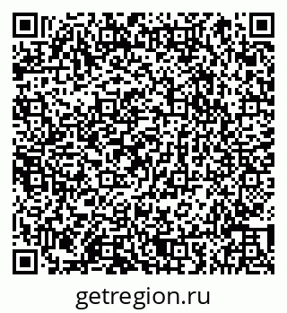 79066853024