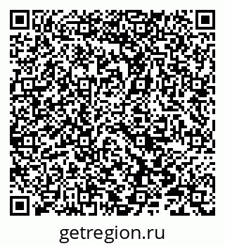 79066855206