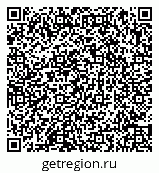 79066855304