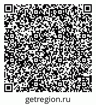 79066856804