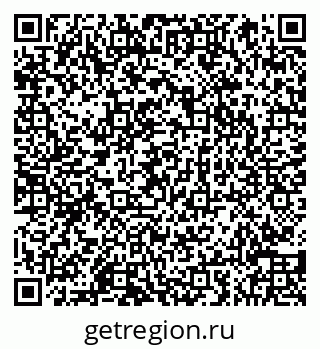 79066858817