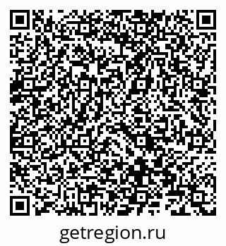 79066864018