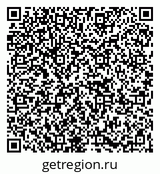 79067003704
