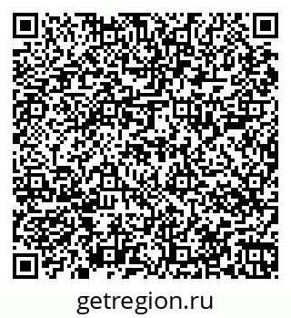 79067004081