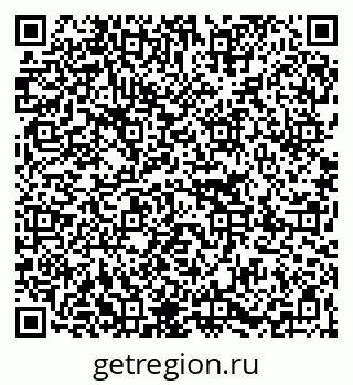79067028704