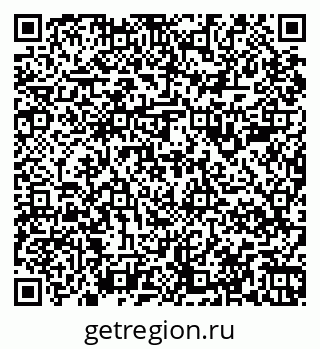 79067988804