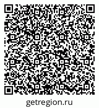 79067991536