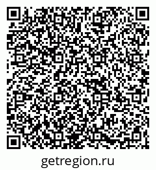 79067991658