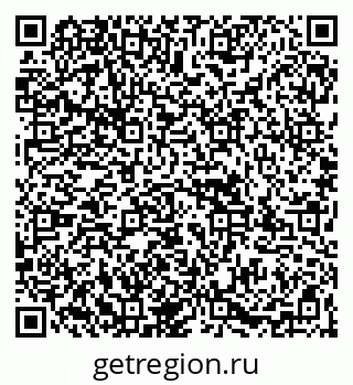 79067995252