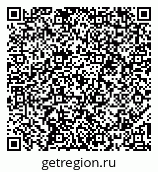 79067995881