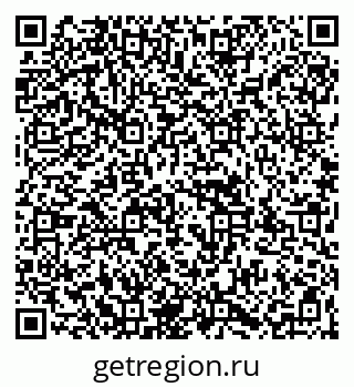 79067999381