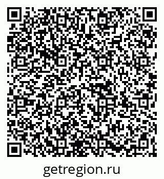 79067999528