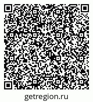 79068004881