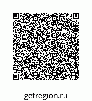 79068185381