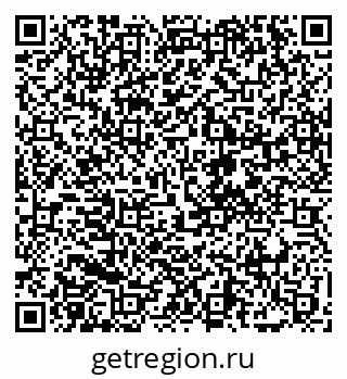 79068202528