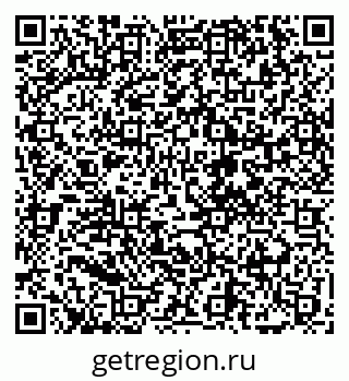 79068206541
