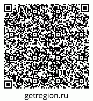 79068260384